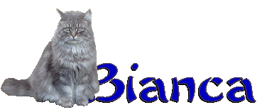 Bianca name graphics