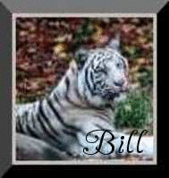 Bill name graphics