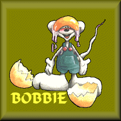 Bobbie name graphics