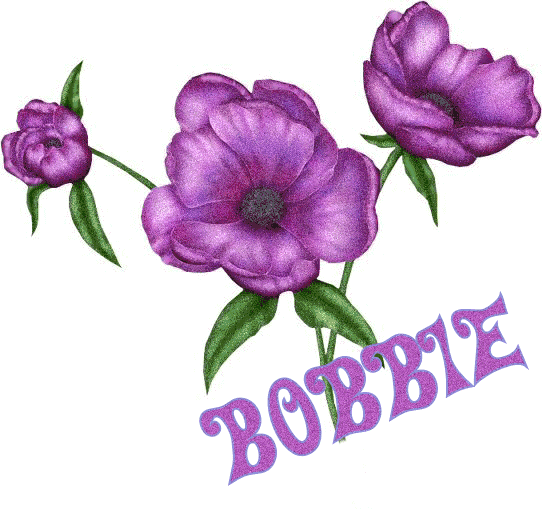 Bobbie name graphics