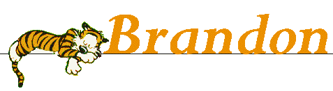 Brandon name graphics