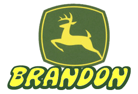 Brandon name graphics