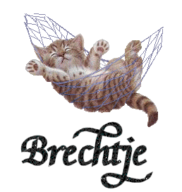 Brechtje name graphics