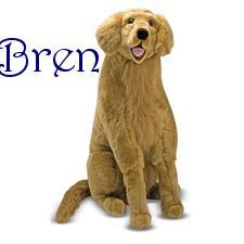 Bren name graphics