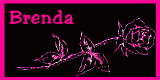 Brenda name graphics