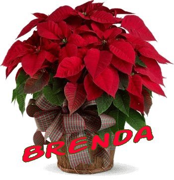 Brenda name graphics