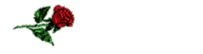 Brenda name graphics