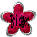 Bridget name graphics