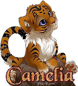 Camelia name graphics