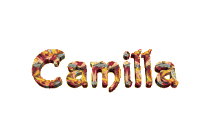 Camilla name graphics
