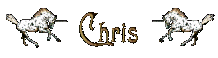 Chris name graphics