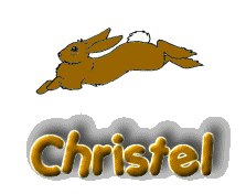 Christel name graphics