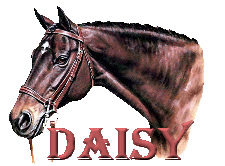 Daisy name graphics