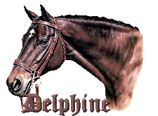 Delphine name graphics