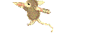 Edna name graphics