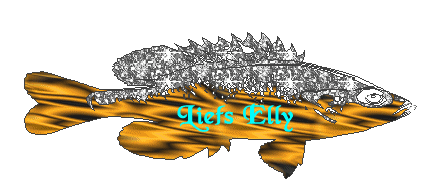 Elly name graphics