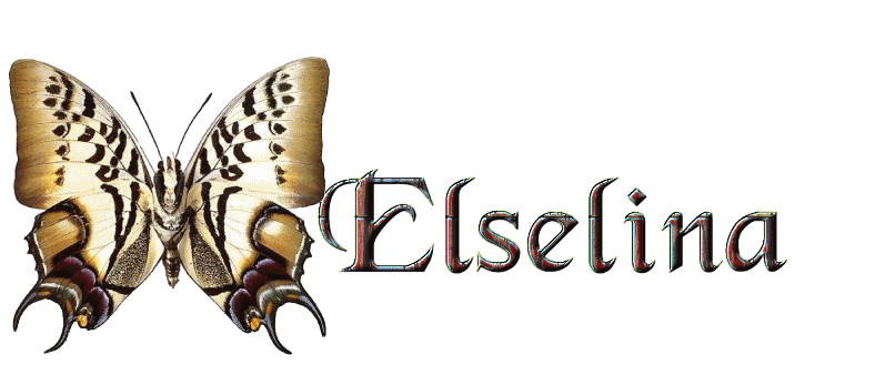 Elselina name graphics