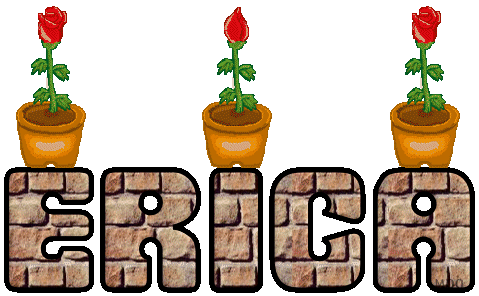 Erica name graphics