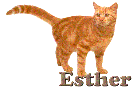Esther name graphics