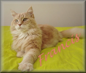 Francis