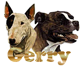 Gerry name graphics