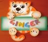 Ginger name graphics