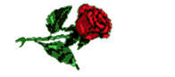 Gloria name graphics