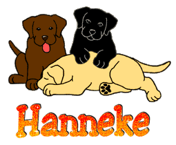 Hanneke name graphics