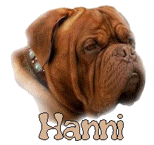 Hanni name graphics