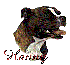 Hanny name graphics