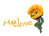 Helene name graphics