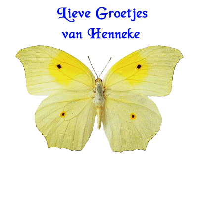 Henneke name graphics