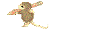Holly name graphics