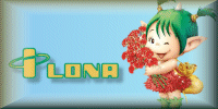 Ilona name graphics