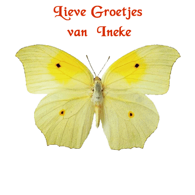Ineke name graphics