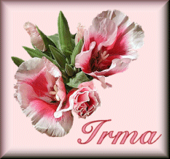 Irma name graphics