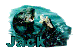 Jack name graphics