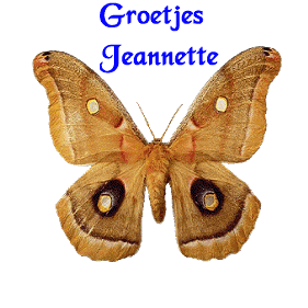 Jeannette name graphics