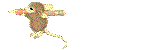 Jocelyn name graphics