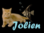 Jolien name graphics