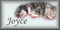 Joyce name graphics