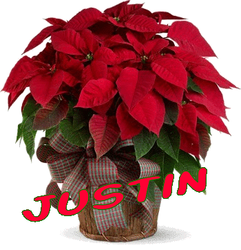 Justin name graphics