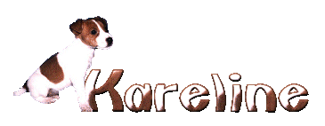 Kareline name graphics