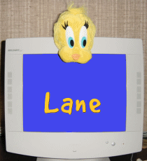 Lane name graphics