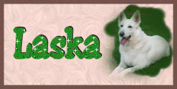 Laska name graphics