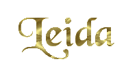 Leida name graphics