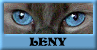 Leny name graphics
