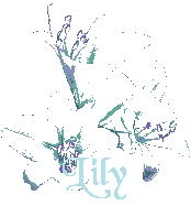 Lily name graphics