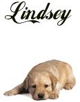 Lindsey name graphics