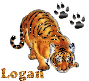Logan name graphics